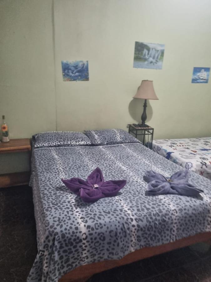 Hotel Paradise Alajuela Rio Segundo Ngoại thất bức ảnh